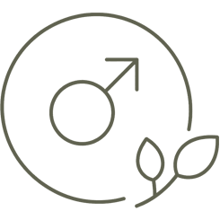 Male fertility - Dr Maree Lee